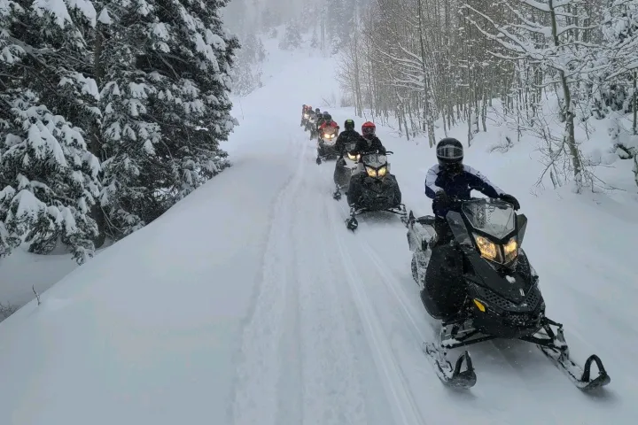 a group of people riding skis across snow covered ground