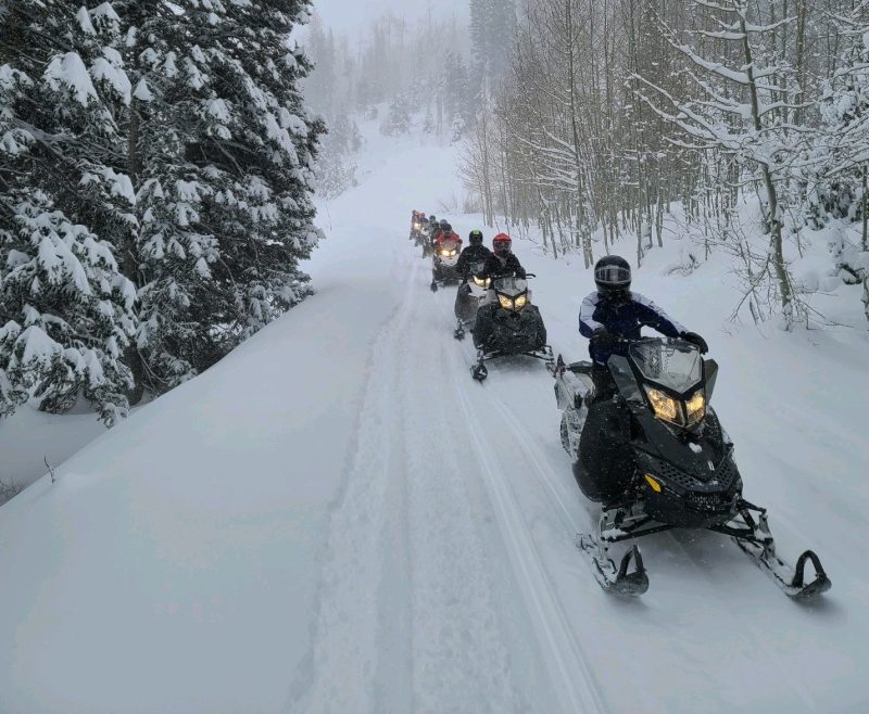 output-image1640655567329 a group of people riding skis across snow covered ground