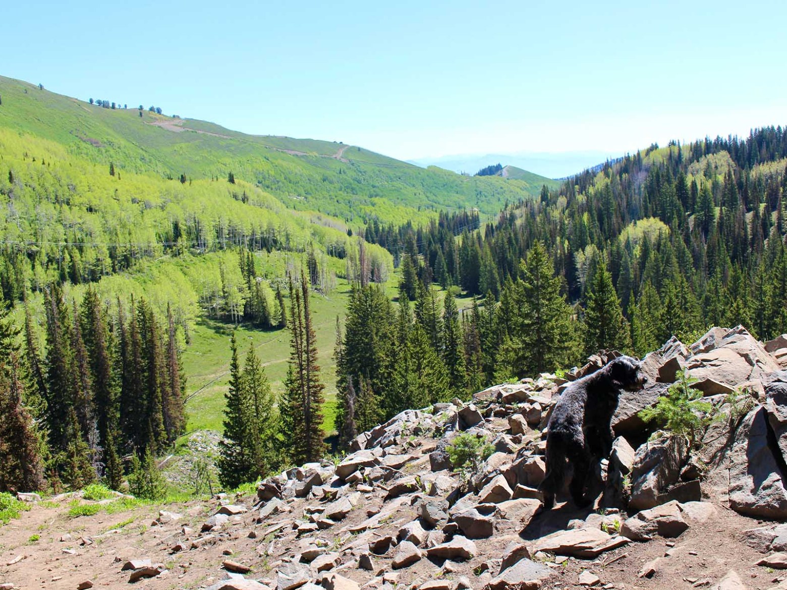 a group of people on a rocky hill