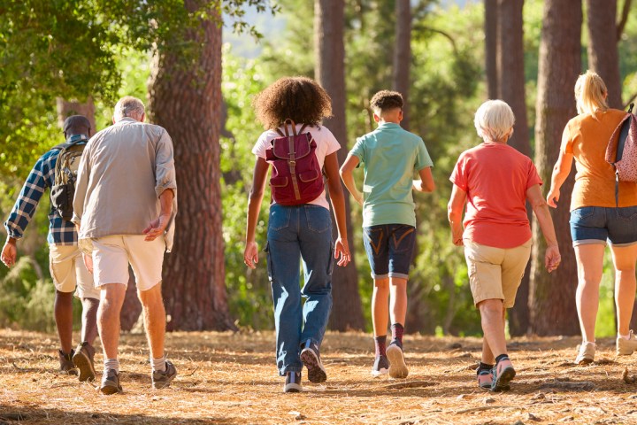 a group of people playing a game of frisbee