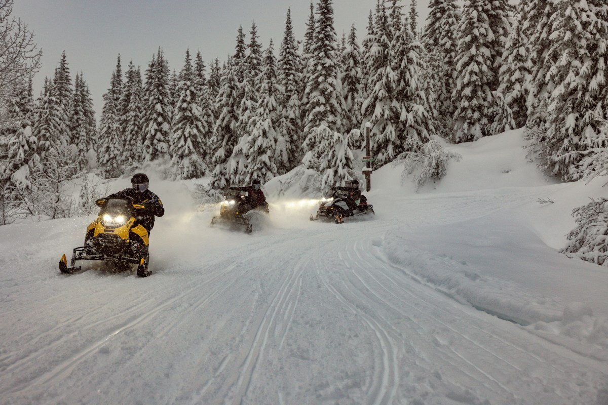 Three snowmobiles riding on a snowy trail in a forest with tall snow-covered trees.