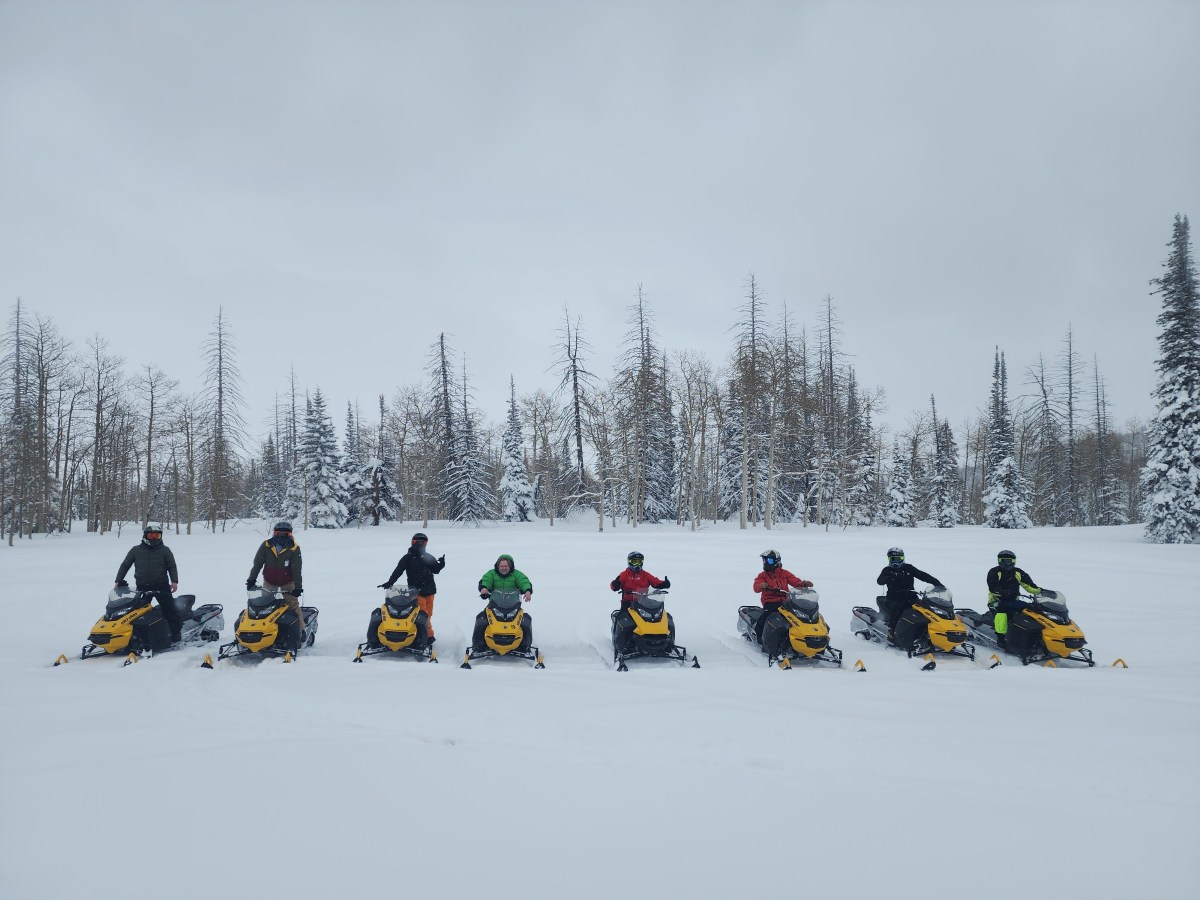 Group guided snowmobile tour in the Wasatch-Cache National Forest near Park City.