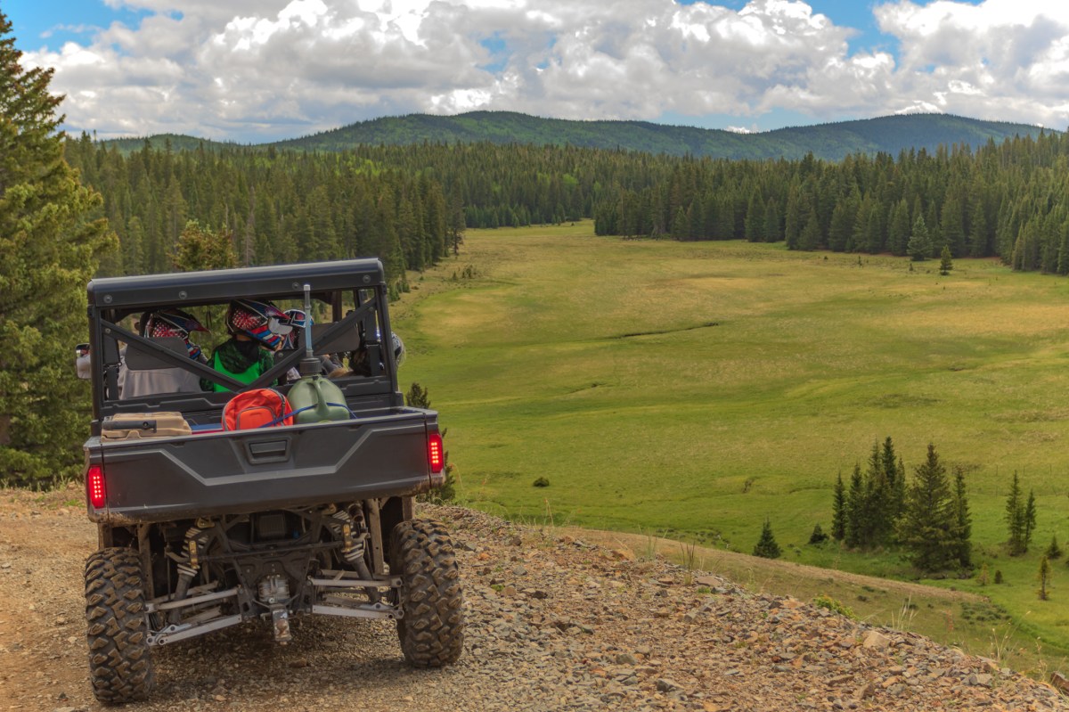 A family in a Can-Am UTV stopped at a viewpoint with the trees in the distance.