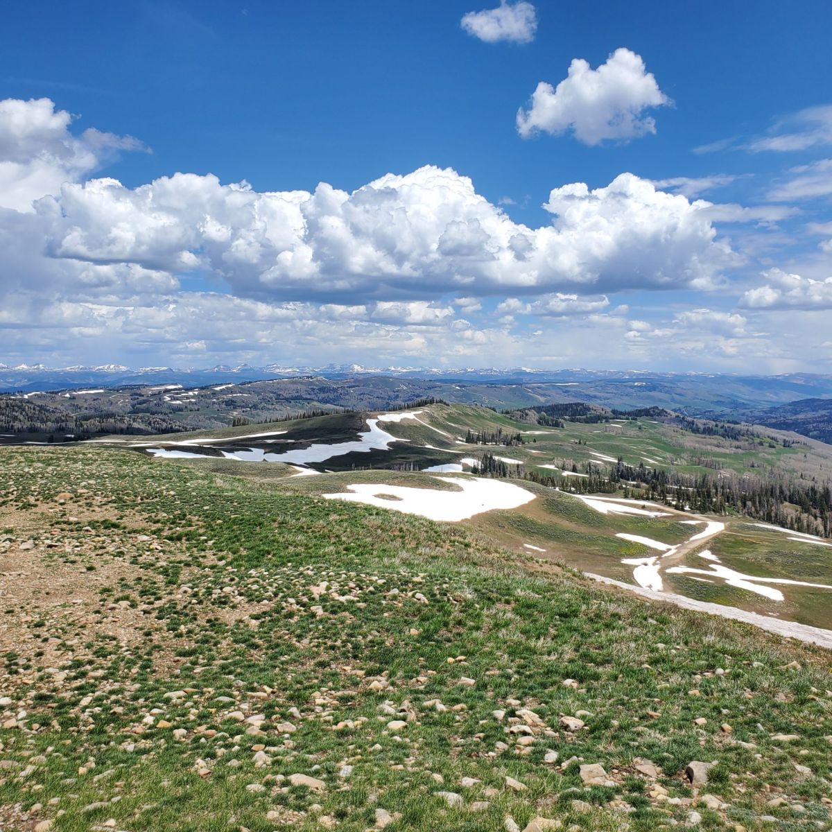 A beautiful view of the Wasatch Mountain State Park with greenery and pockets of snow in Utah.