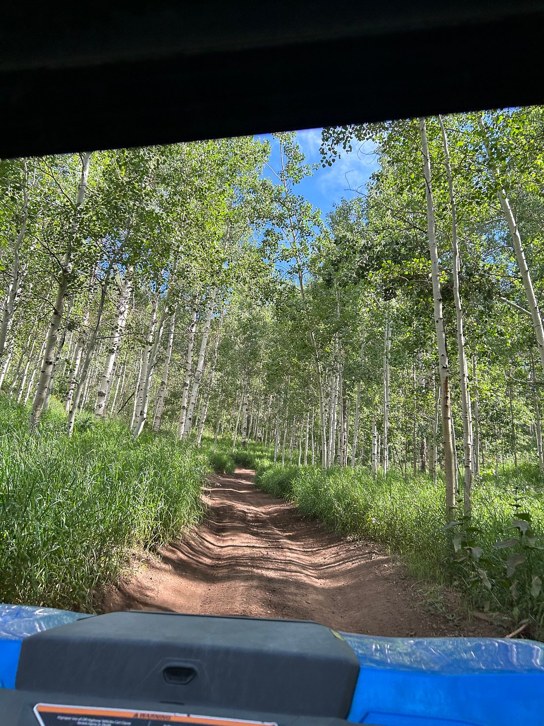 View looking out at the trail from the front seat of a UTV through Snake Creek Canyon in Utah.